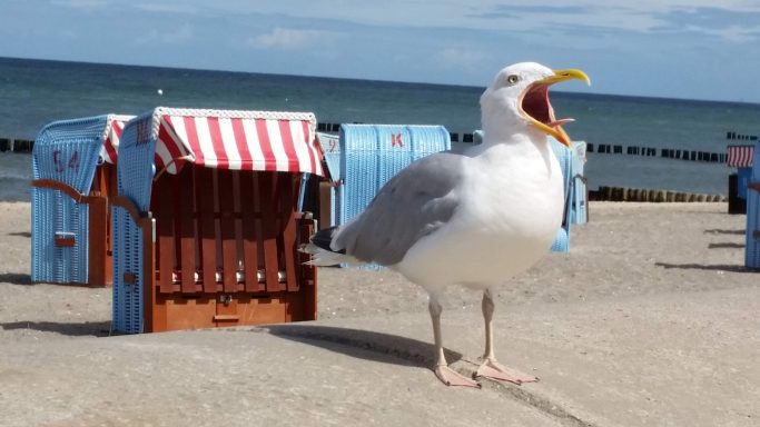 Strand der Ostsee Strand der Ostsee
